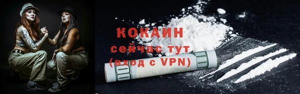 прущие крисы Ельня