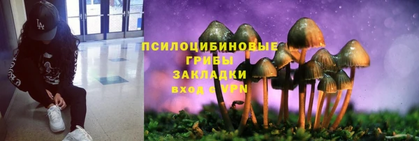 прущие крисы Ельня