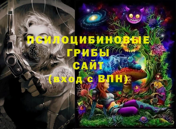 шишки Елабуга