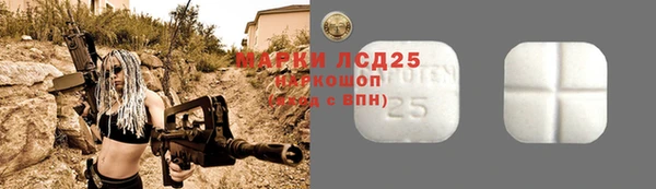 прущие грибы Заволжск