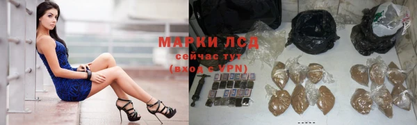 прущие крисы Ельня