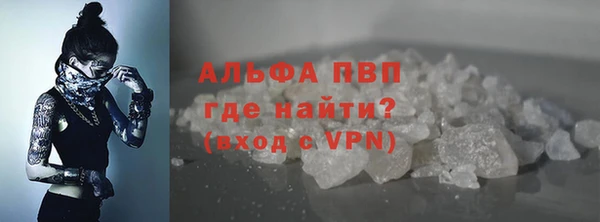 прущие грибы Заволжск