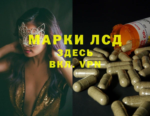 гидропоника Заводоуковск