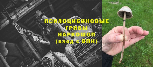 гидропоника Заводоуковск